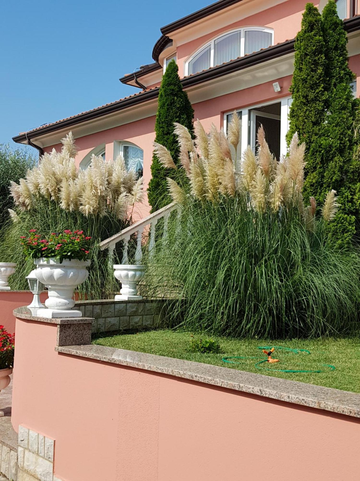 Apartments And Rooms Villa Chiara Krnica Luaran gambar